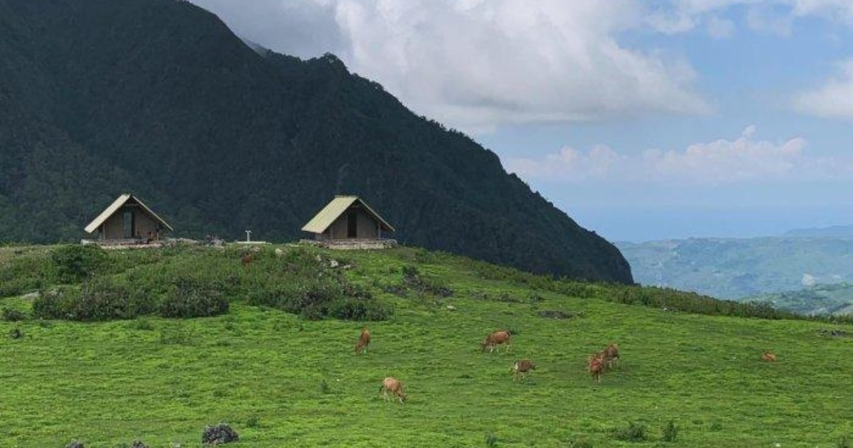 Keindahan Lembah Fulan Fehan yang memukau, dengan hamparan alam hijau, bukit-bukit berbukit, dan sungai yang mengalir tenang. Lembah ini menawarkan pemandangan yang menenangkan, menjadikannya destinasi sempurna untuk menikmati keindahan alam Nusa Tenggara Timur yang masih alami dan jauh dari keramaian.