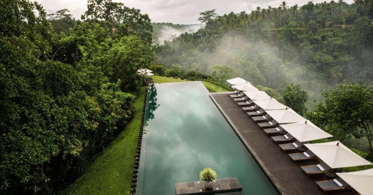 Keindahan Ubud, Bali, yang memadukan alam tropis dengan budaya lokal yang kental. Pemandangan sawah terasering yang hijau, jalanan yang dikelilingi oleh hutan tropis, dan pura-pura bersejarah menciptakan suasana tenang dan damai.