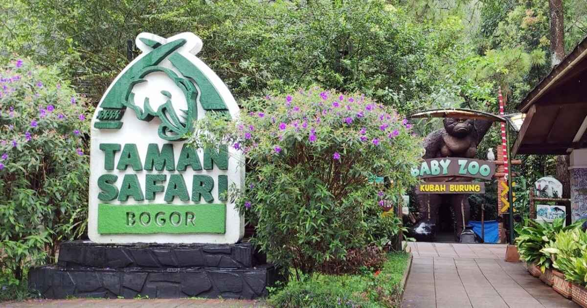 Taman Safari Indonesia tidak hanya menawarkan hiburan, tetapi juga menjadi pusat edukasi yang lengkap dan menarik.